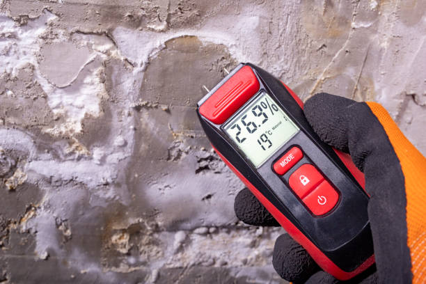 Best Home Mold Removal  in Mazomanie, WI