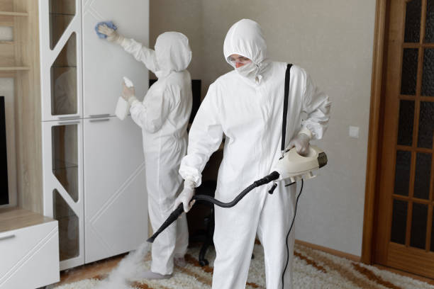 Mold Testing and Removal in Mazomanie, WI