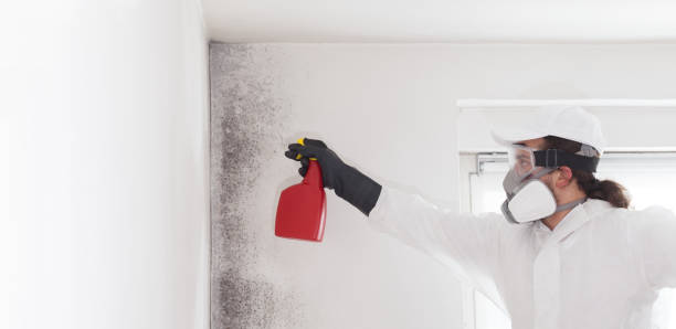 Best Emergency Mold Removal  in Mazomanie, WI